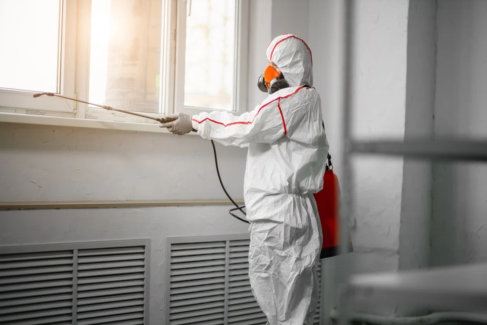 Professional mold remediation services in Maple Rapids, MI